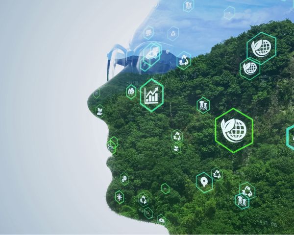 Sustainability